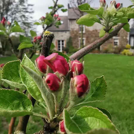 La Majolique فندق مبيت وإفطار نامور