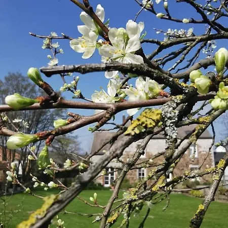 La Majolique فندق مبيت وإفطار نامور