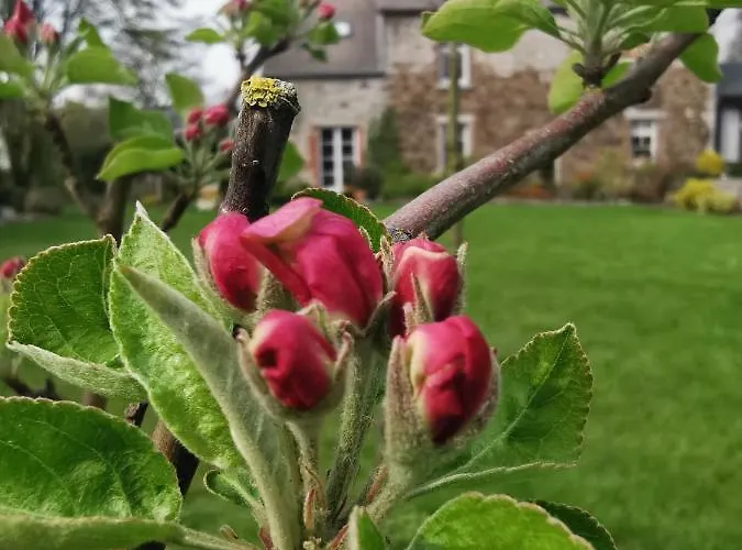 La Majolique Отель типа 